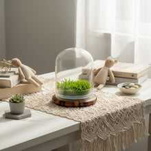 Load image into Gallery viewer, Self-Growing Moss Terrarium – Sundew Carnivorous Plants Live – No Maintenance Terrarium – Long-Lasting Plants Live - Ecosystem Terrarium