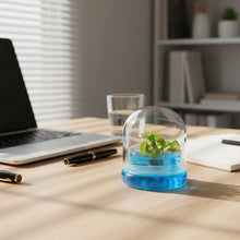 Load image into Gallery viewer, Venus Flytrap, Dionea Muscipula B52, Carnivorous Terrarium, Small Table Plant