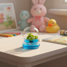 Load image into Gallery viewer, Venus Flytrap, Dionea Muscipula B52, Carnivorous Terrarium, Small Table Plant