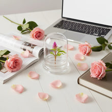 Load image into Gallery viewer, Celosia Flower Terrarium-Cockscomb-Blooming- glass jar-indoor house live plants-anniversary gift-wedding favor-bridesmaid gift-gifts for her