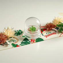 Load image into Gallery viewer, Bloomify Live Pinguicula esseriana (Mexican Butterwort) in Glass Terrarium – Maintenance-Free Carnivorous Plant, Unique Gift for Enthusiasts, Collectors & Nature Lovers.