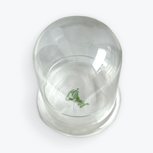 Load image into Gallery viewer, Bloomify Glass Dome – 5.7 x 5.7 x 6.7 Inches – Premium Anti-Fog Glass Cloche Bell Jar with Base – Perfect for Home Decor, Tabletop Display, and Terrarium – Stunning Decoration (No Plants) - Orchid Gene