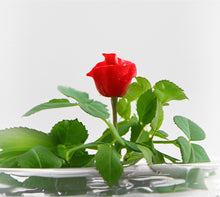 Load image into Gallery viewer, Zero Care Rose, Flower Terrarium, For Your Lovely One
