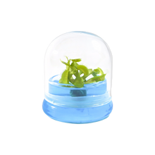 Load image into Gallery viewer, Bloomify Glass Small Dome – 2 x 2 x 2.5 Inches – Premium Anti-Fog Glass Cloche Bell Jar with Base- Perfect for Home Decor, Tabletop Displays, Terrariums, and Creative Projects (No Plants) - Orchid Gene