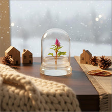 Load image into Gallery viewer, Live Celosia Terrarium, Cockscomb, Zero Care, Always Blooming, Great for Work and Home