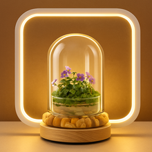 Load image into Gallery viewer, Bloomify Persian Violet lived in Terrarium Jar, real plants, a small oasis of greenery in the city, easy to grow and requiring minimal care, is a source of happiness in the home