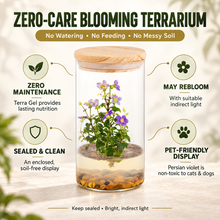 Load image into Gallery viewer, Tall-Dome Persian Violet Zero-Care Terrarium (Exacum affine)