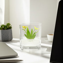 Load image into Gallery viewer, Orchid Bonsai, Psygmorchis Pusilla, Open Pot Design, Beautiful Glass Votive