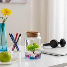 Load image into Gallery viewer, Spoon-leaved Sundew, Drosera Spatulata, Sticky Flypaper 2.0