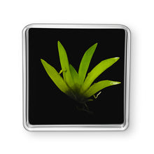 Load image into Gallery viewer, Bloomify Live Orchid Picture, Maintenance Free Orchid, Psygmorchis Pusilla, Live Green Wall Décor, Blooming, No Green Thumb Necessary, Great for Work, Home, Wall Décor, Unique Gift. - Orchid Gene