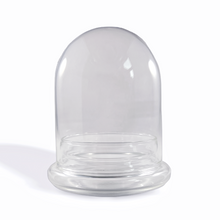 Load image into Gallery viewer, Bloomify Glass Large Dome – 3.5 x 3.5 x 4.3 Inches – Premium Anti-Fog Glass Cloche Bell Jar with Base - Perfect for Home Decor, Tabletop Displays, Terrariums, and Creative Projects (No Plants) - Orchid Gene
