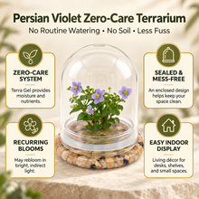Load image into Gallery viewer, Infographic showing Persian violet zero-care terrarium features, including no watering, a sealed design, Terra Gel medium, and indoor display