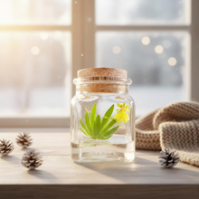 Load image into Gallery viewer, Live Miniature Orchid Terrarium, Psygmorchis Pusilla, Signature Product