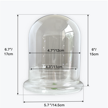 Load image into Gallery viewer, Bloomify Glass Dome – 5.7 x 5.7 x 6.7 Inches – Premium Anti-Fog Glass Cloche Bell Jar with Base – Perfect for Home Decor, Tabletop Display, and Terrarium – Stunning Decoration (No Plants) - Orchid Gene