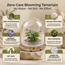 Load image into Gallery viewer, Persian Violet Terrarium, Elegant Live Flowering Plant Gift, Continuous Blooming, Self-Growing, No-Watering, Zero-Maintenance Indoor Glass Décor