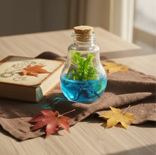 Load image into Gallery viewer, Venus Flytrap Terrarium, Signature Product, Amazon's Choice, Walmart Best Sellers #1 in 2022