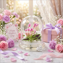 Load image into Gallery viewer, Live Celosia & Coleus, Assembled Flower Terrarium, Jumbo Size, 1 + 1 > 2