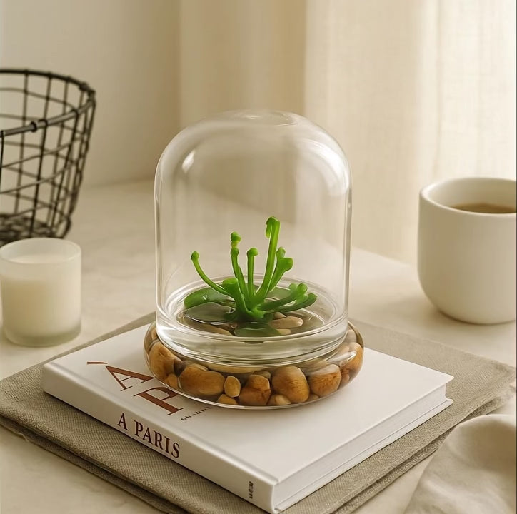 live plants for terrarium Bloomify Terrarium Cobra Lily–Carnivorous Live Pitcher Plant– Self-Growing