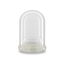 Load image into Gallery viewer, Nutritious terra gel terrarium, Seed Germination Helper, Zero maintenance, Interactive glass terrarium, Gift with educational value for children - Orchid Gene