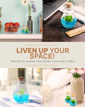 Load image into Gallery viewer, Venus Flytrap Terrarium, Signature Product, Amazon's Choice, Walmart Best Sellers #1 in 2022 - Orchid Gene