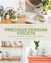 Load image into Gallery viewer, Persian Violet (Exacum Affine), Rare Violet Flower Terrarium, Anniversary Gift - Orchid Gene