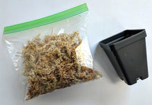 Load image into Gallery viewer, Transplant Kit, Spagmoss Peat Moss with 1 Planter, For All Orchids - Orchid Gene