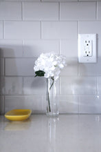 Load image into Gallery viewer, Clear Slim Tall Glass Bottle, Perfect for Flowers and Stems, Watertight - Orchid Gene