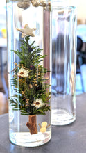 Load image into Gallery viewer, Clear Slim Tall Glass Bottle, Perfect for Flowers and Stems, Watertight - Orchid Gene