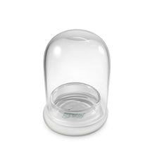 Load image into Gallery viewer, Terra Gel Plant Propagation with Glass Dome – Advanced Technology and Easy to Use Gardening Plant Propagation Station for Succulents - Orchid Gene