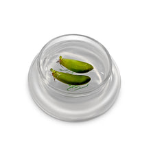 Load image into Gallery viewer, Terra Gel Plant Propagation with Glass Dome – Advanced Technology and Easy to Use Gardening Plant Propagation Station for Succulents - Orchid Gene