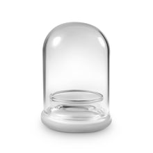 Load image into Gallery viewer, Terra Gel Plant Propagation with Glass Dome – Advanced Technology and Easy to Use Gardening Plant Propagation Station for Succulents - Orchid Gene