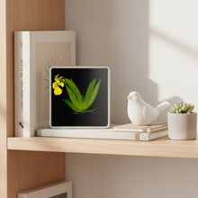 Load image into Gallery viewer, Bloomify Live Orchid Picture, Maintenance Free Orchid, Psygmorchis Pusilla, Live Green Wall Décor, Blooming, No Green Thumb Necessary, Great for Work, Home, Wall Décor, Unique Gift.
