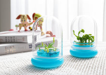 Load image into Gallery viewer, [Bundle] Venus Flytrap &amp; Pitcher Plant, Insect Nightmare Set, Dome Glass

