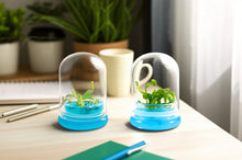 Load image into Gallery viewer, [Bundle] Venus Flytrap &amp; Pitcher Plant, Insect Nightmare Set, Dome Glass
