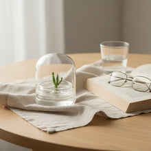 Load image into Gallery viewer, Bloomify Live Cactus Succulent Terrarium – Zero Maintenance – Opuntia microdasys – Bunny Ear Cactus with Glacier White Fuzz Areoles

