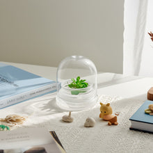 Load image into Gallery viewer, Bloomify Glass Small Dome – 2 x 2 x 2.5 Inches – Premium Anti-Fog Glass Cloche Bell Jar with Base- Perfect for Home Decor, Tabletop Displays, Terrariums, and Creative Projects (No Plants)
