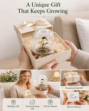 Load image into Gallery viewer, Alocasia Pink Bambino Variegated Terrarium, Rare Live Aroid Plant, Self-Growing, No-Watering, Zero-Maintenance Gift
