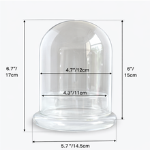Load image into Gallery viewer, Bloomify Glass Dome – 5.7 x 5.7 x 6.7 Inches – Premium Anti-Fog Glass Cloche Bell Jar with Base – Perfect for Home Decor, Tabletop Display, and Terrarium – Stunning Decoration (No Plants)

