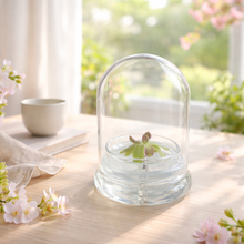 Load image into Gallery viewer, Bloomify Live Pinguicula “Fumiko” (Rosy-Lavender Mexican Butterwort Hybrid) in Glass Terrarium – Zero-Care Carnivorous Plant, Natural Gnat Control, Pet-Safe Mini Terrarium Gift for Dreamy Plant Lovers
