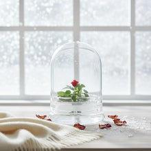 Load image into Gallery viewer, Zero Care Rose, Flower Terrarium, For Your Lovely One
