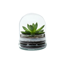 Load image into Gallery viewer, Bloomify Glass Small Dome – 2 x 2 x 2.5 Inches – Premium Anti-Fog Glass Cloche Bell Jar with Base- Perfect for Home Decor, Tabletop Displays, Terrariums, and Creative Projects (No Plants)

