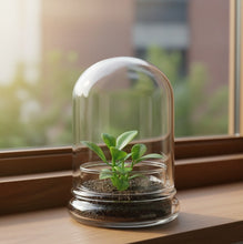 Load image into Gallery viewer, Bloomify Glass Middle Dome – 2.5 x 2.5 x 3.2 Inches – Premium Anti-Fog Glass Cloche with Base – Perfect for Home Décor, Tabletop Displays, Terrariums, and DIY Projects (No Plants)

