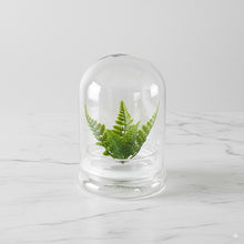 Load image into Gallery viewer, Bloomify Glass Middle Dome – 2.5 x 2.5 x 3.2 Inches – Premium Anti-Fog Glass Cloche with Base – Perfect for Home Décor, Tabletop Displays, Terrariums, and DIY Projects (No Plants)
