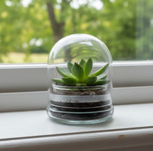 Load image into Gallery viewer, Bloomify Glass Small Dome – 2 x 2 x 2.5 Inches – Premium Anti-Fog Glass Cloche Bell Jar with Base- Perfect for Home Decor, Tabletop Displays, Terrariums, and Creative Projects (No Plants)
