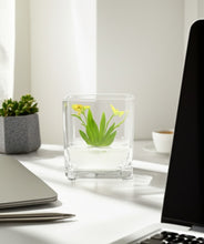 Load image into Gallery viewer, Orchid Bonsai, Psygmorchis Pusilla, Open Pot Design, Beautiful Glass Votive
