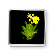 Load image into Gallery viewer, Bloomify Live Orchid Picture, Maintenance Free Orchid, Psygmorchis Pusilla, Live Green Wall Décor, Blooming, No Green Thumb Necessary, Great for Work, Home, Wall Décor, Unique Gift.
