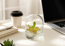 Load image into Gallery viewer, Bloomify Live Pinguicula “Fumiko” (Rosy-Lavender Mexican Butterwort Hybrid) in Glass Terrarium – Zero-Care Carnivorous Plant, Natural Gnat Control, Pet-Safe Mini Terrarium Gift for Dreamy Plant Lovers
