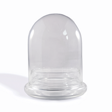 Load image into Gallery viewer, Bloomify Glass Large Dome – 3.5 x 3.5 x 4.3 Inches – Premium Anti-Fog Glass Cloche Bell Jar with Base - Perfect for Home Decor, Tabletop Displays, Terrariums, and Creative Projects (No Plants) - Orchid Gene
