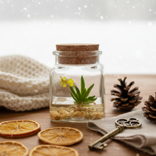 Load image into Gallery viewer, Orchid Terrarium-Miniature orchid/Glass Terrarium/Indoor Garden/Office desk/Live plants/Gift for Her/Wedding Favor/Bridesmaid/Anniversary
