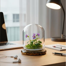 Load image into Gallery viewer, Persian violet and sundew moss zero-care terrarium displayed on an indoor desk
